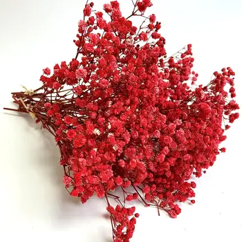 Красная ваза для сухих цветов 