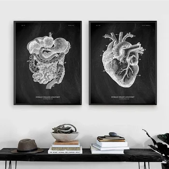 Современная простая картина на холсте Черно-белая линия Человеческий скелет Настенные художественные плакаты Картины для украшения дома в больнице  1